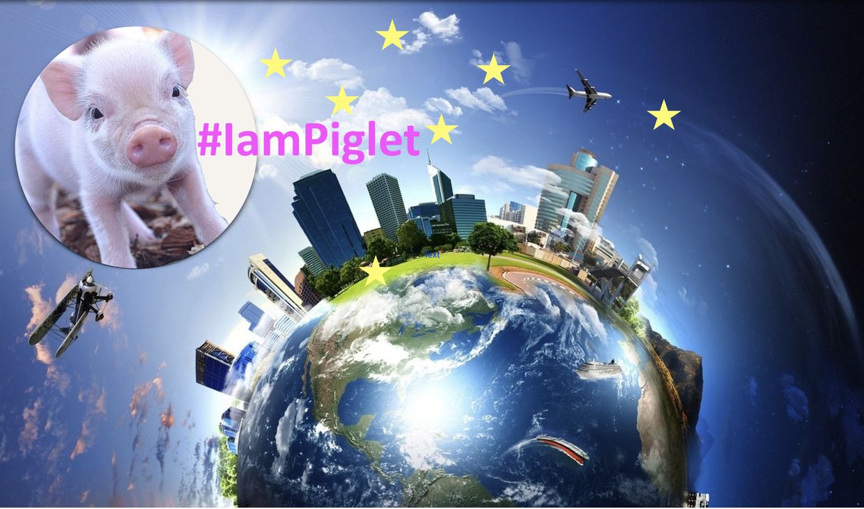 The Piglet, key art